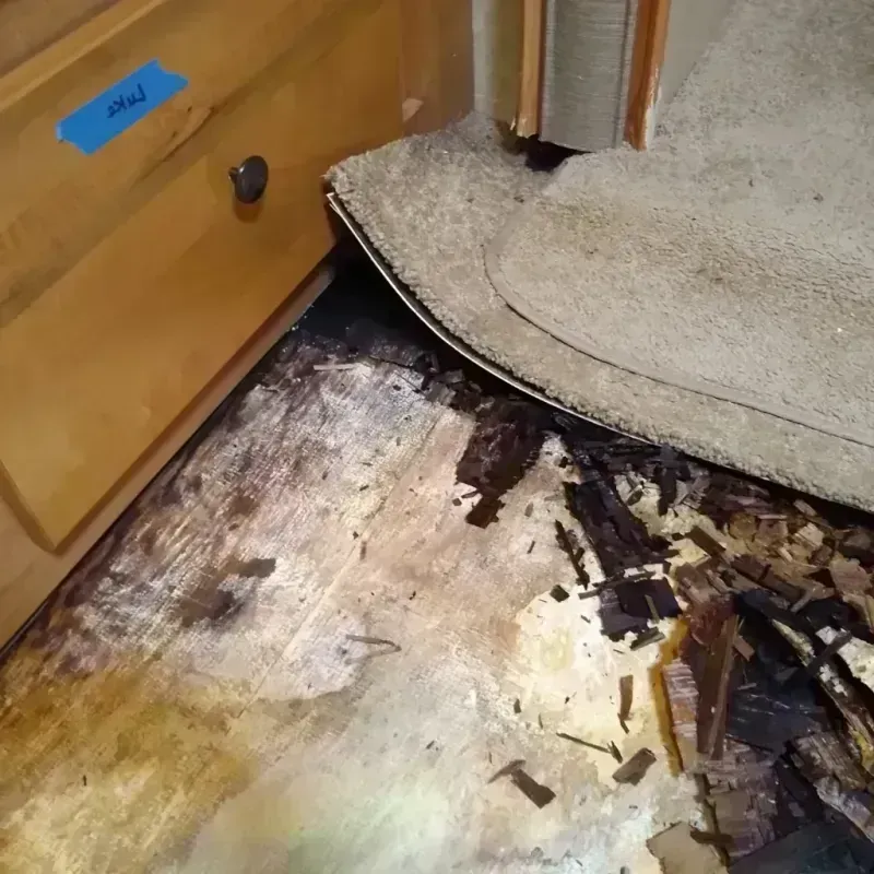 Wood Floor Water Damage in Ozark County, MO